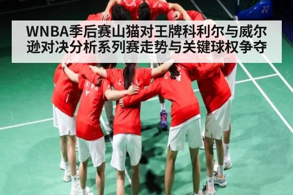 WNBA季后赛山猫对王牌科利尔与威尔逊对决分析系列赛走势与关键球权争夺（kaiyun）